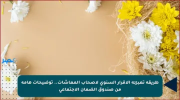 طريقة تعبئة الإقرار السنوي لأصحاب المعاشات.. توضيحات هامة من صندوق الضمان الاجتماعي